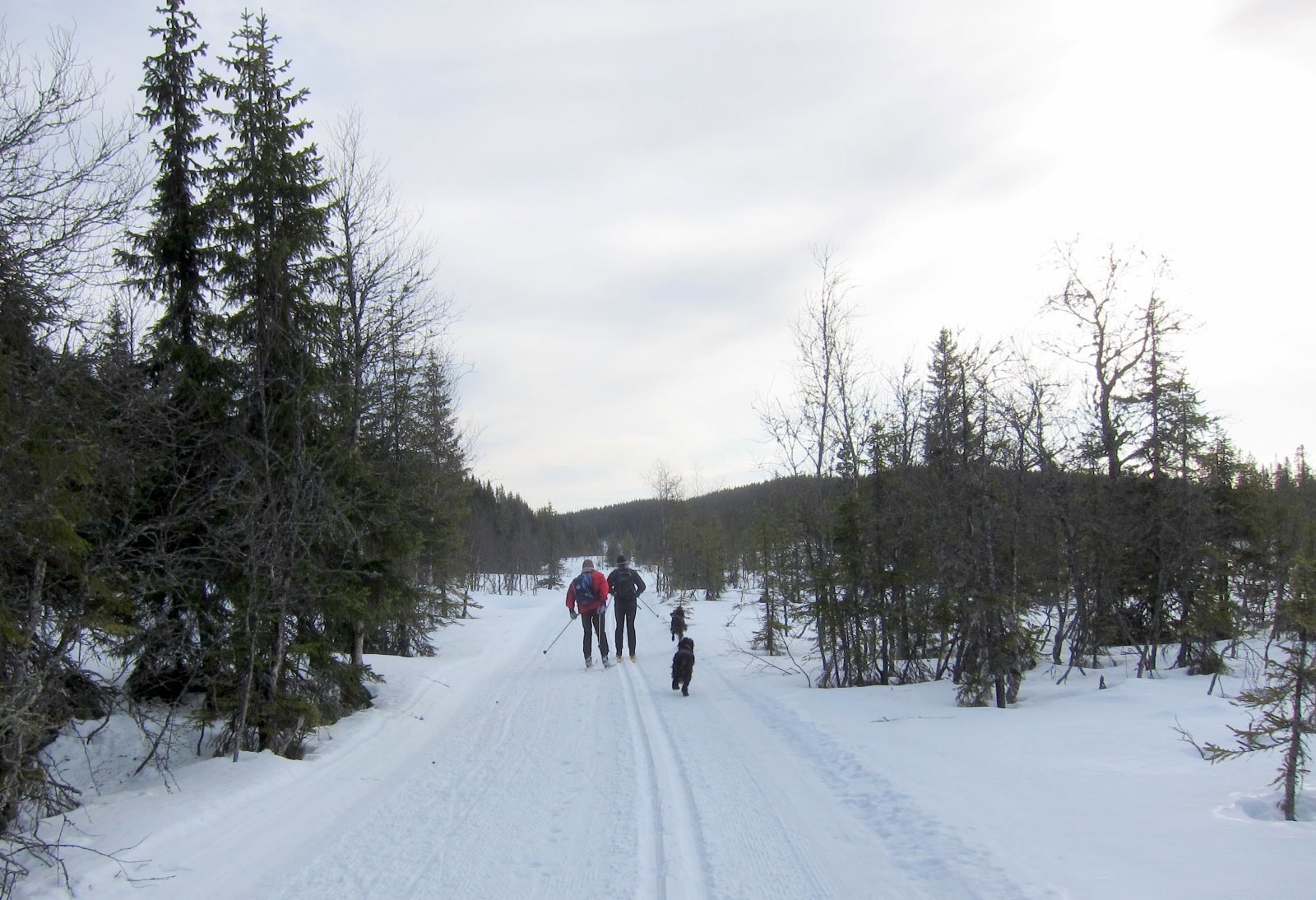 I fint driv ved Vindflomyrene