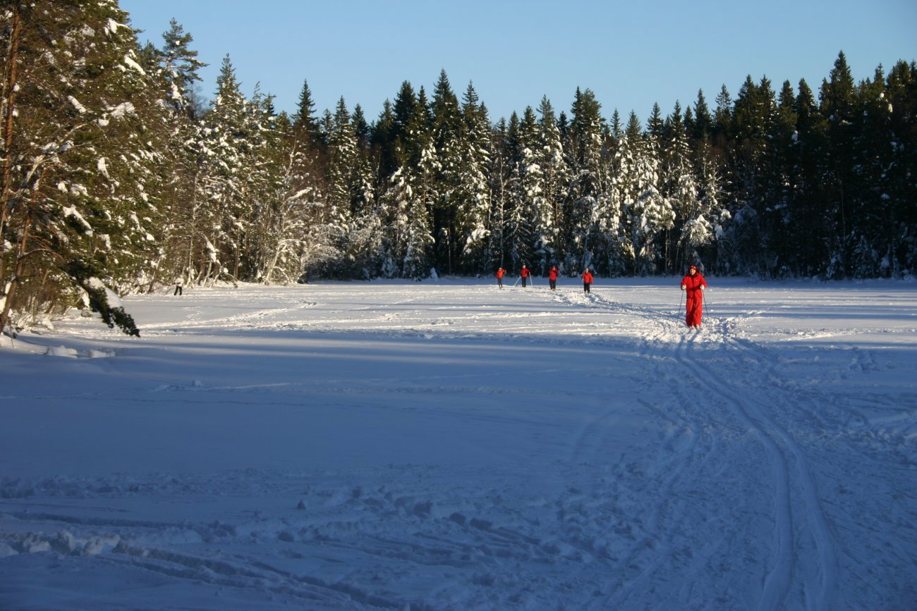 I flokk og følge over Bukkestitjern