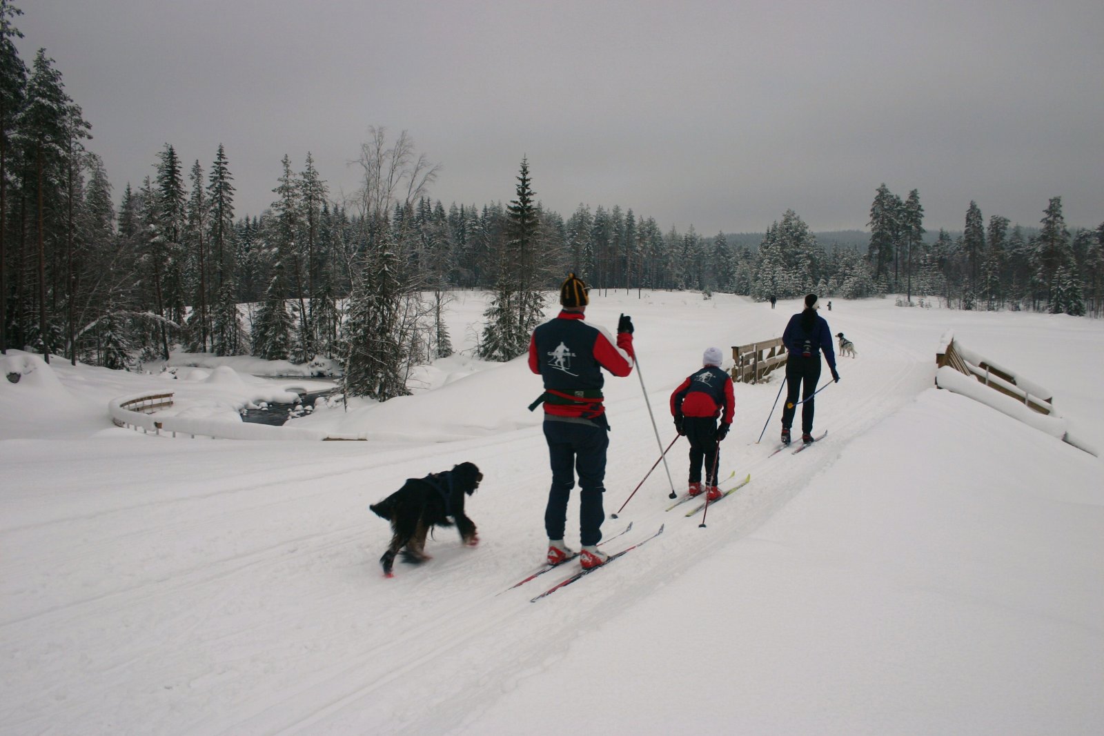 I flokk og følge over Hjallar bru