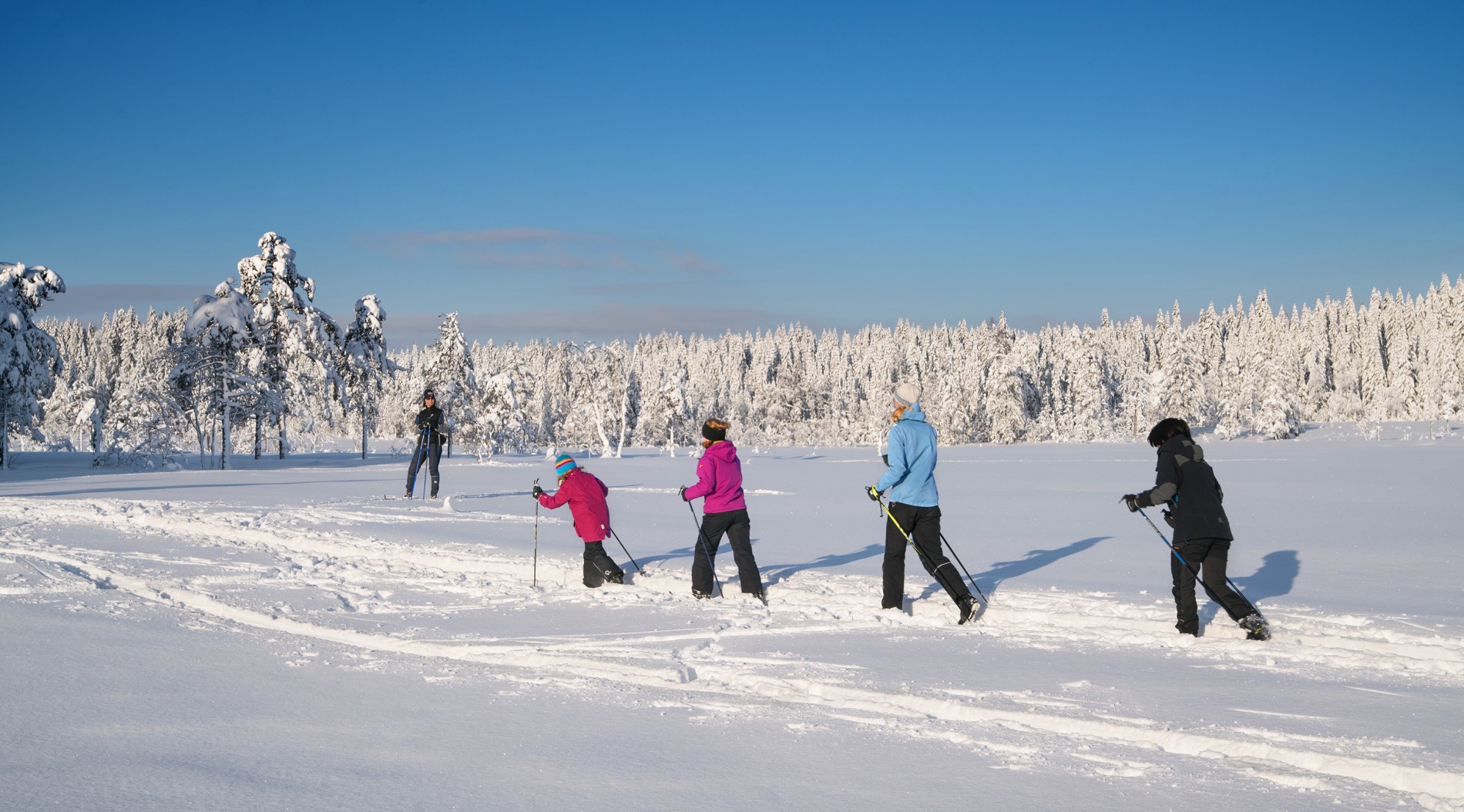 I flokk og følge over Triungsvann