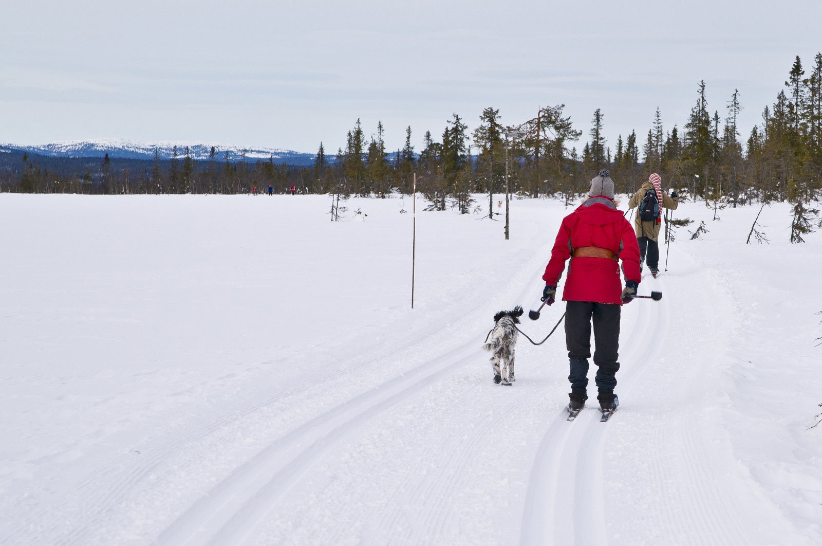 I gang med Stormyrrunden