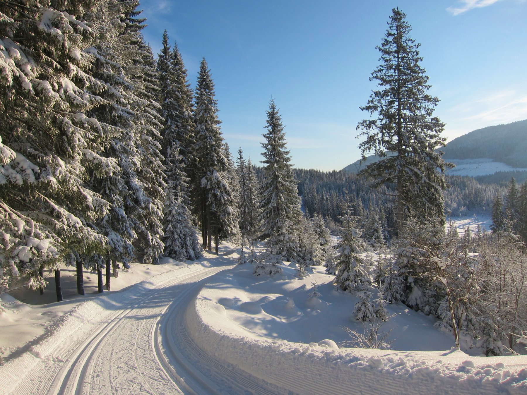 I grenseland mellom Totenåsen og Hurdal