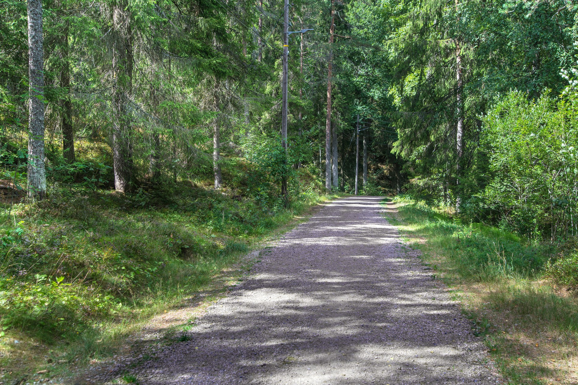 I grønne omgivelser