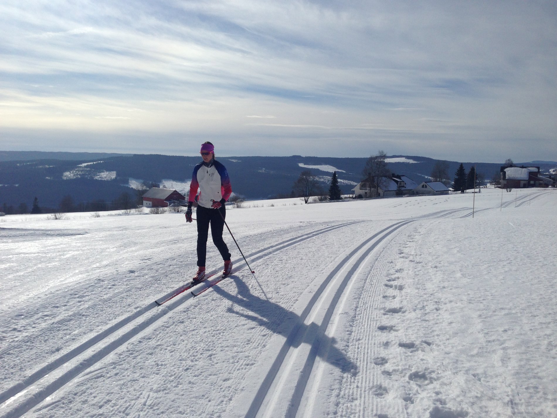 I Haugrunden med utsikt