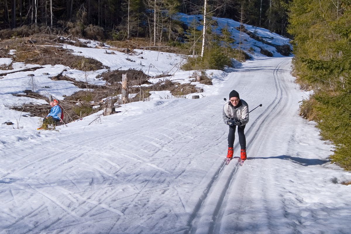 I hocke i solskinnet