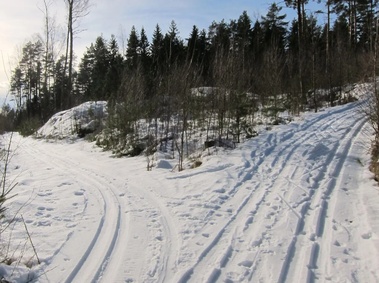 I Karderrunden I Karderrunden