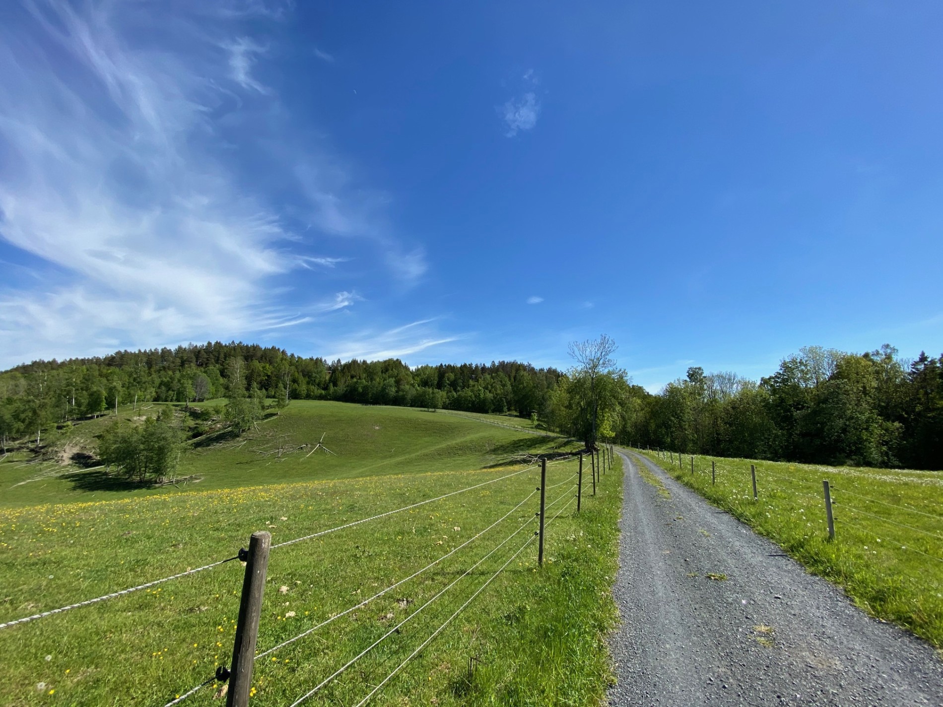 I kulturlandskapet ved Søndre Jaren