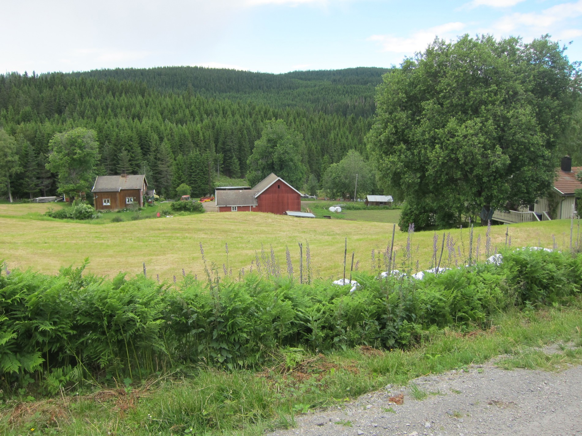 I kulturlandskapet ved Vangen