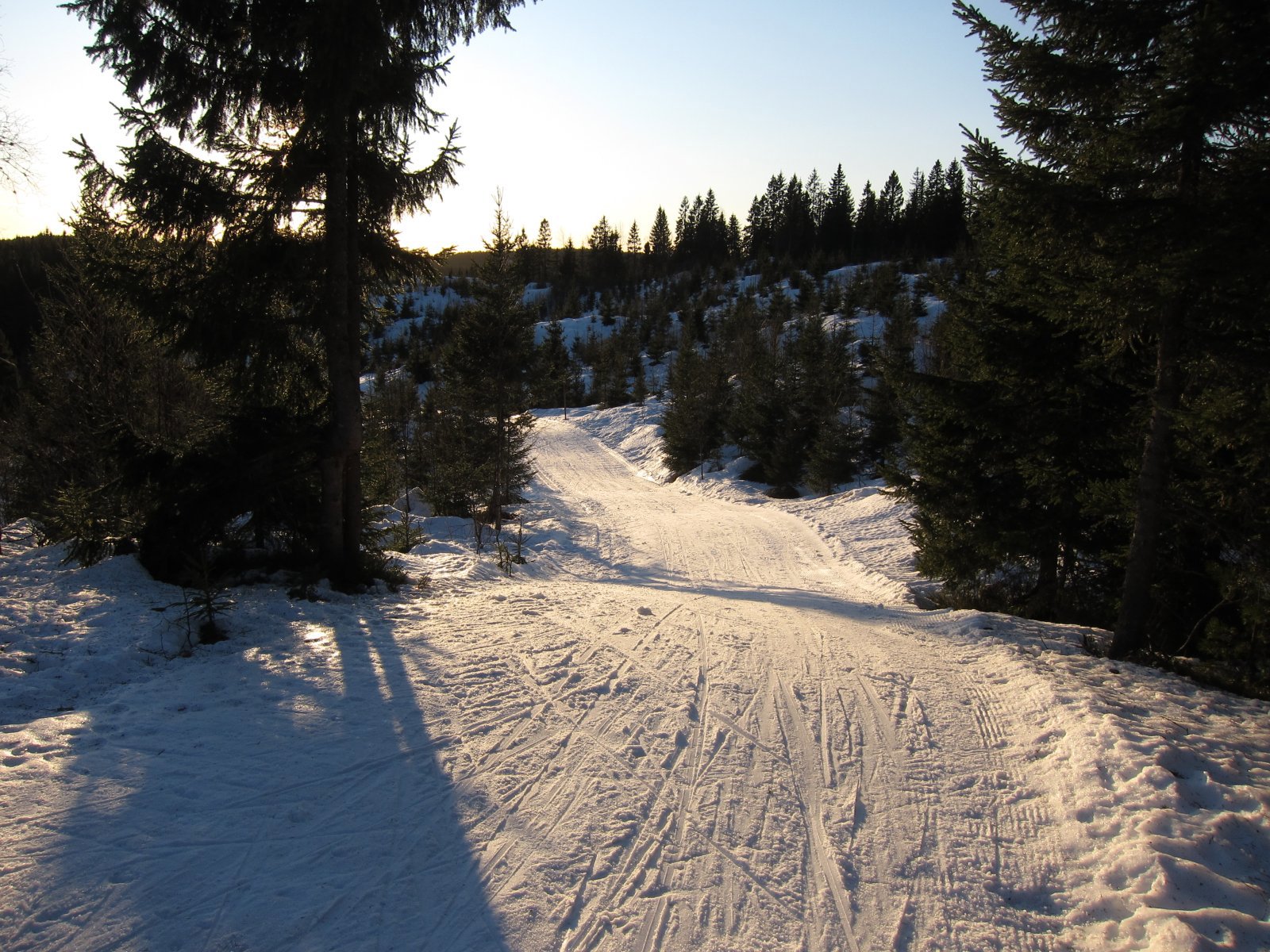 I løypa vest for Gampen