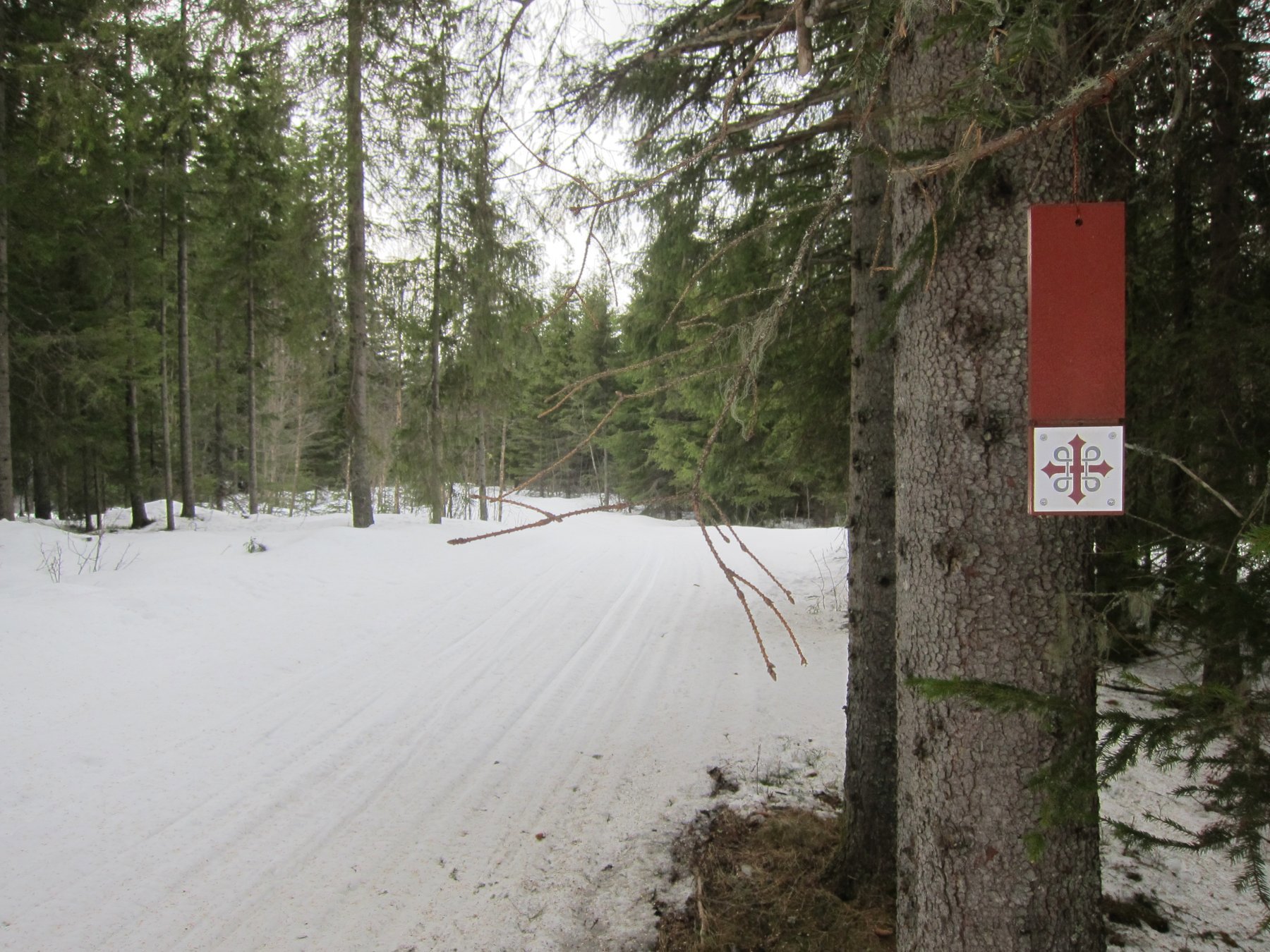 I løype på Kjølvegen