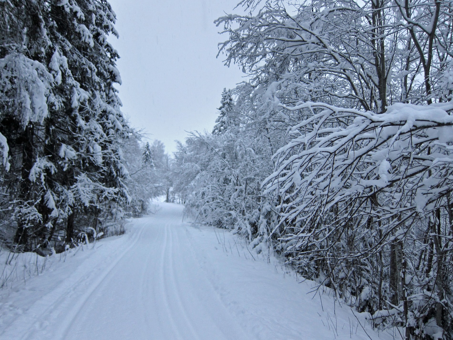 I Lunners vinterlandskap
