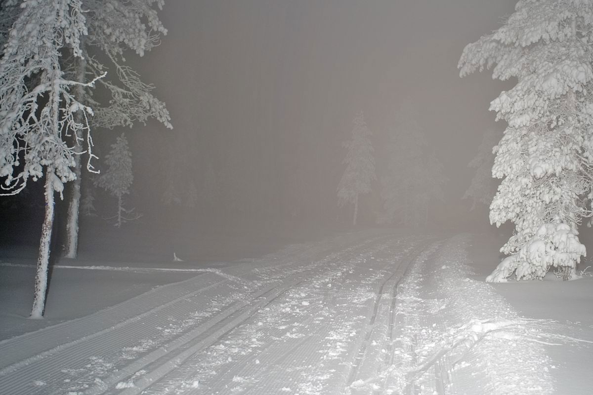 I lyset av hodelykten