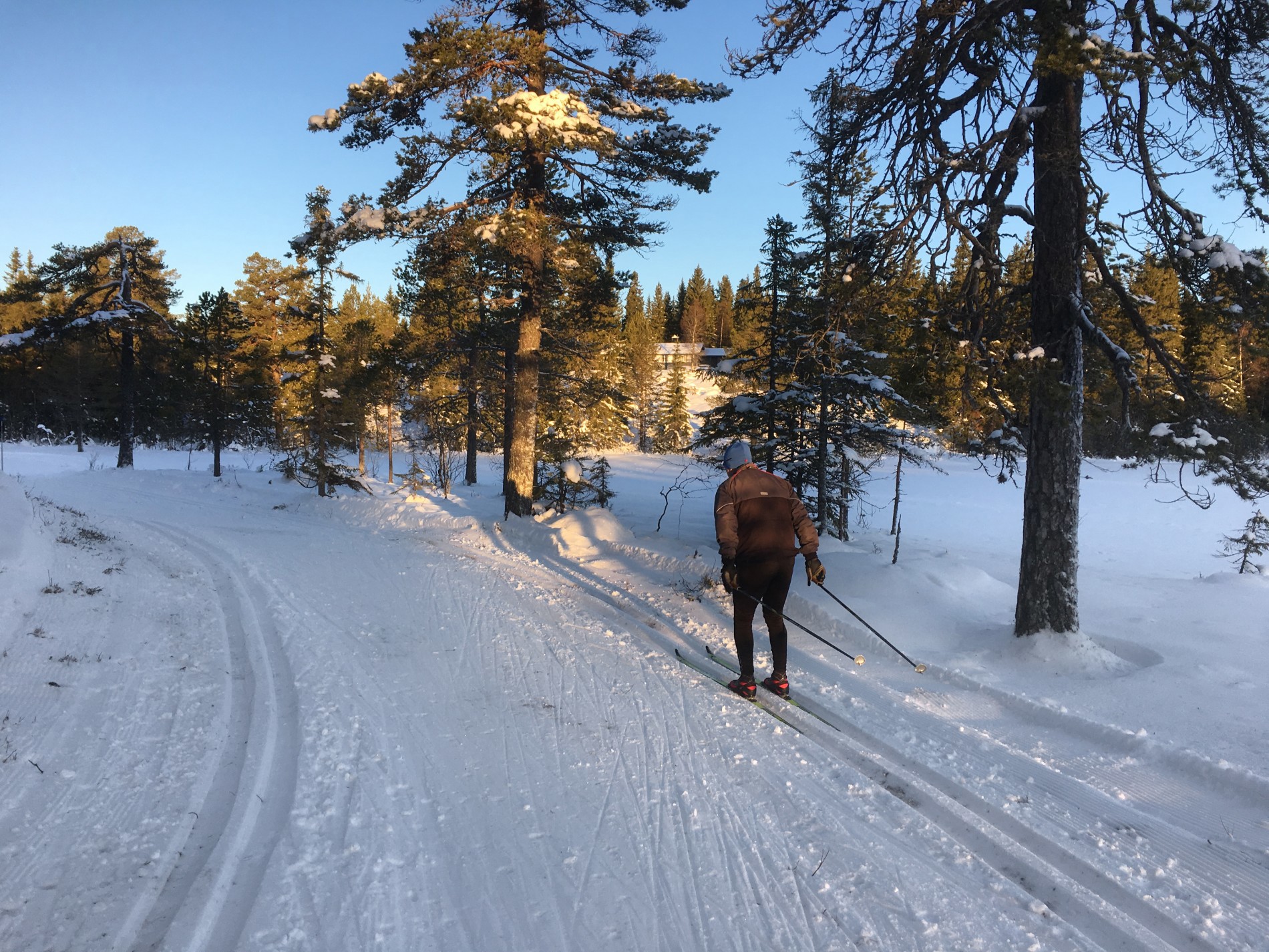 I morgensol ved Kolltjern