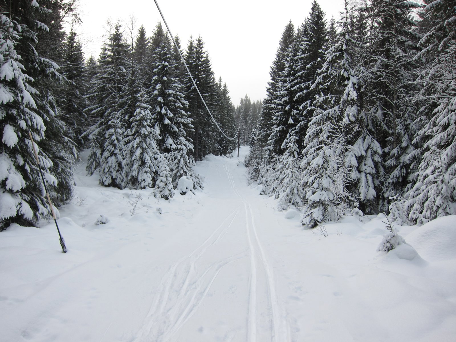 I myke spor på Bergsåsen