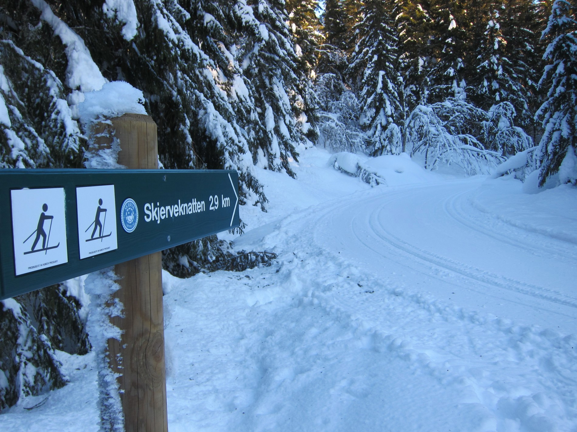 I pilens retning mot Skjerveknatten