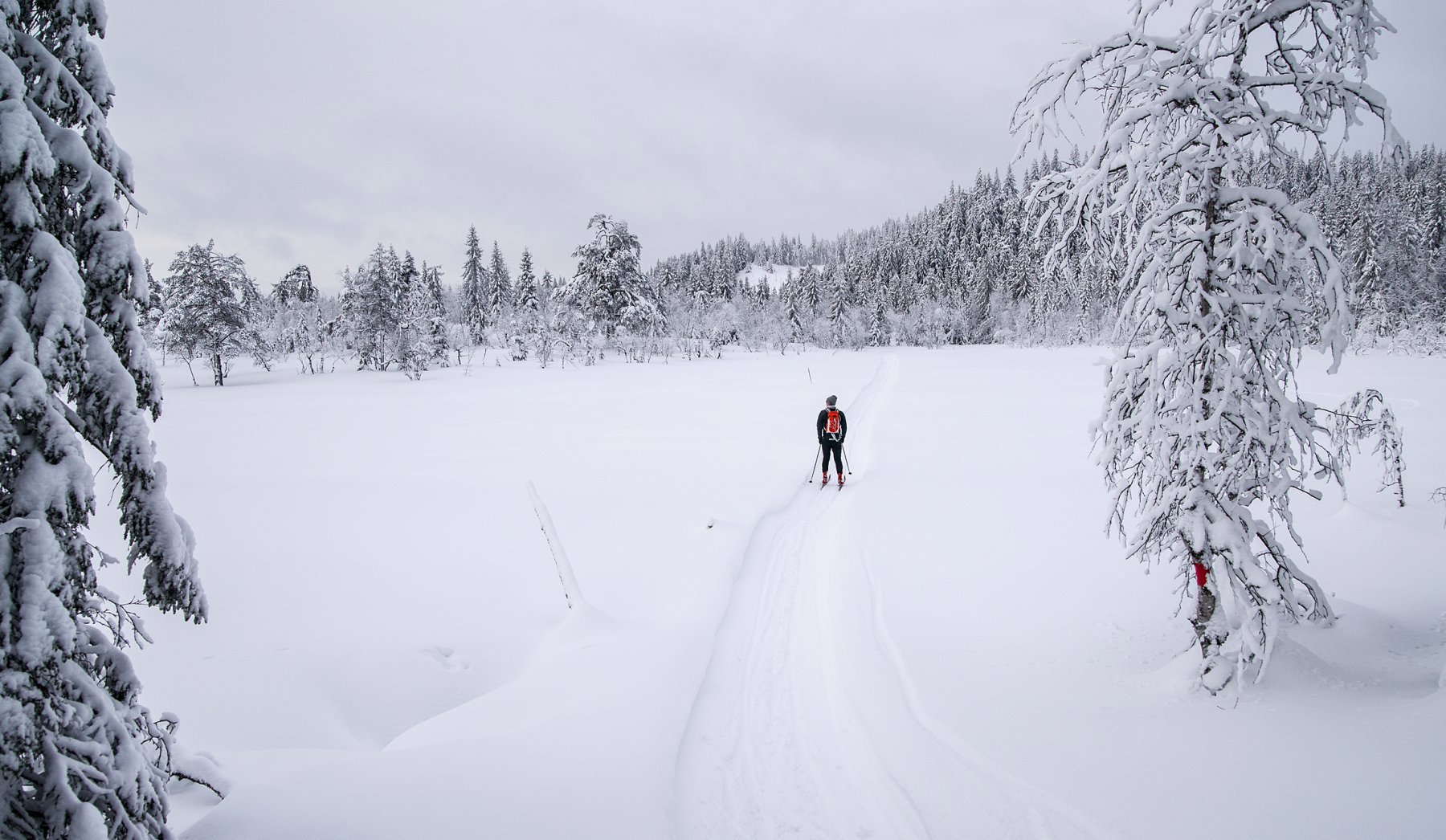 I scooterløype ved Halstjern