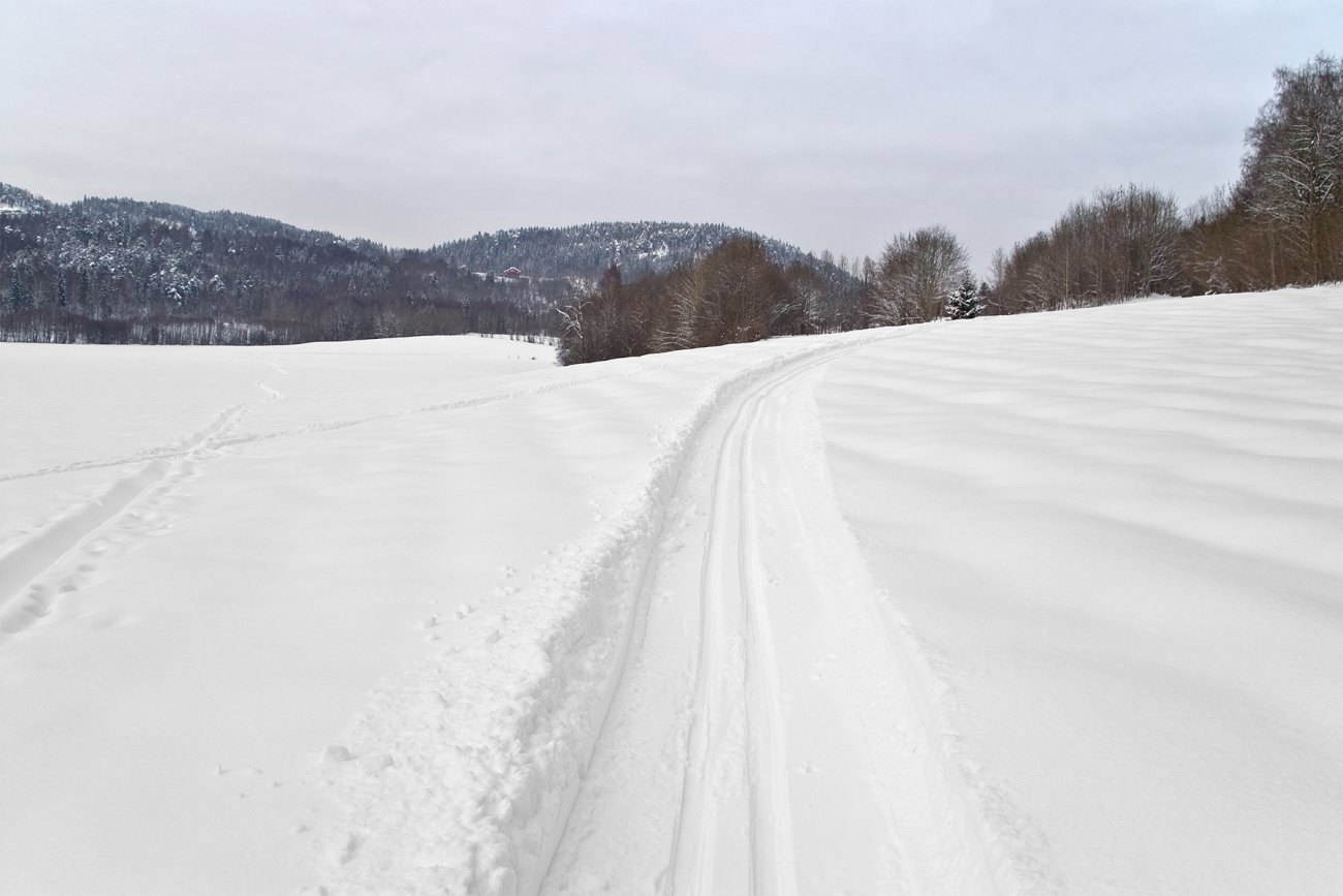 I scooterspor mot Skotta