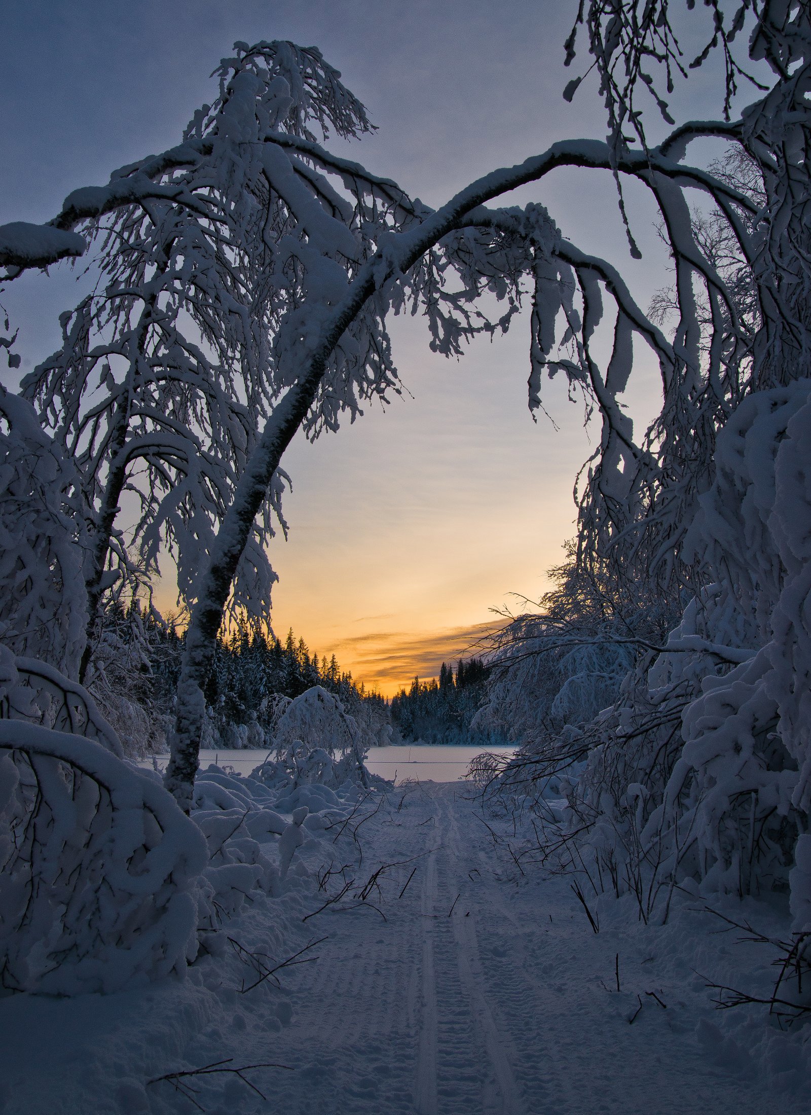 I scooterspor mot solnedgang