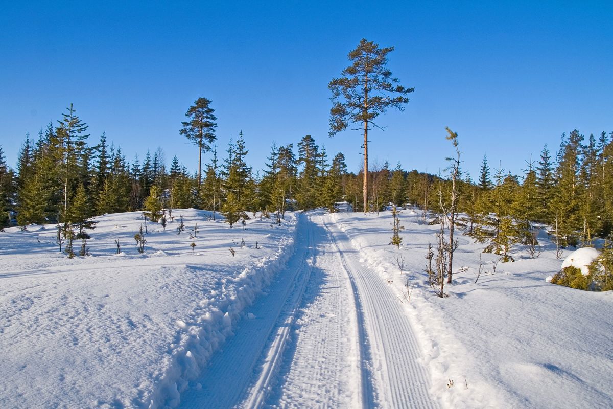 I scooterspor over Ingjerdsbrenna