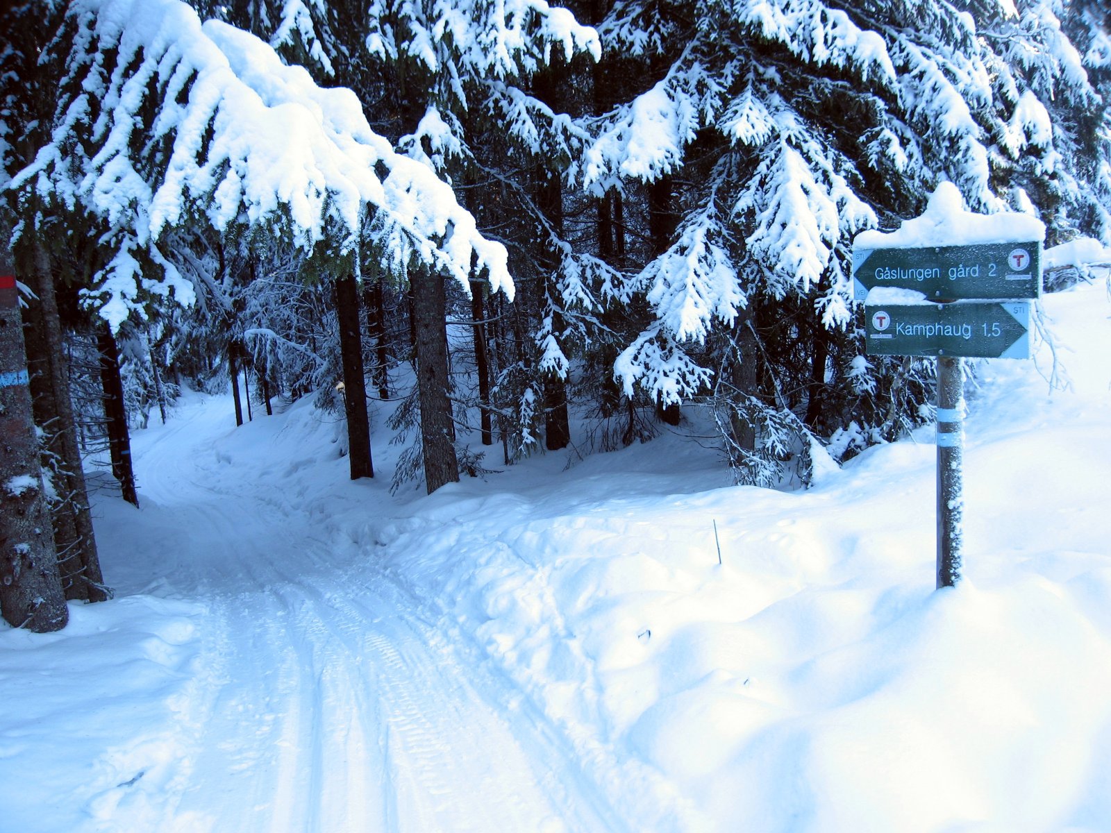 I scooterspor over Kamphaugåsen
