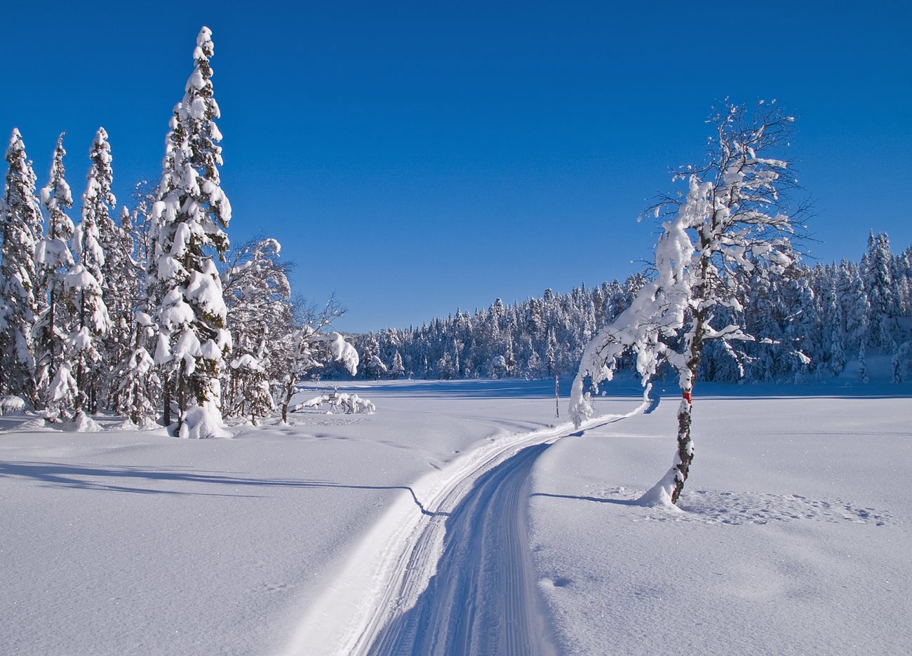 I scooterspor over Møkkalitjern