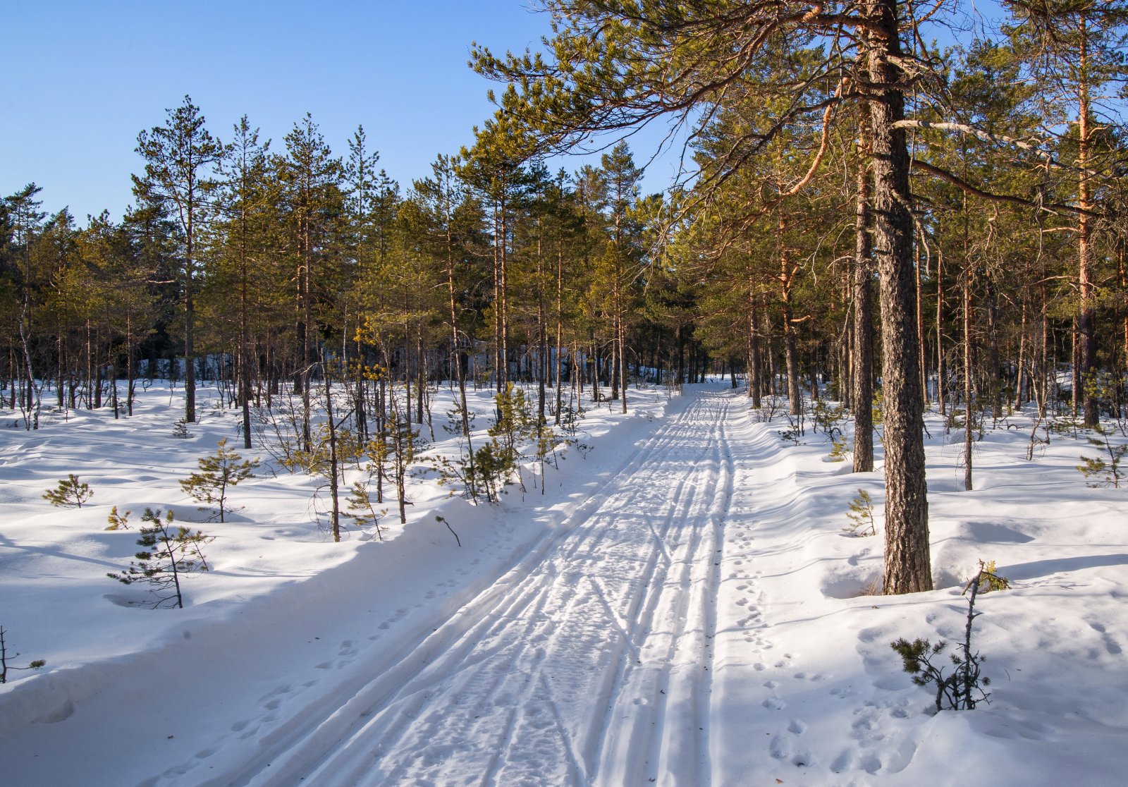 I scooterspor over Rustadmåsan