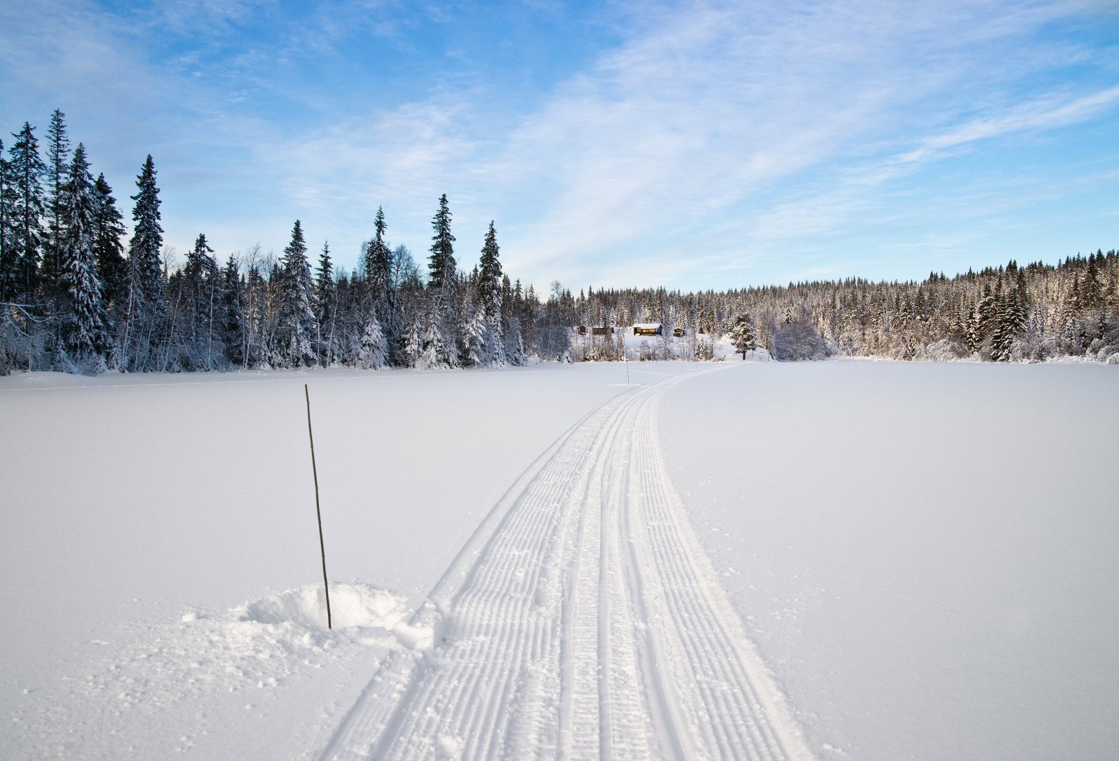 I scooterspor over tjernet