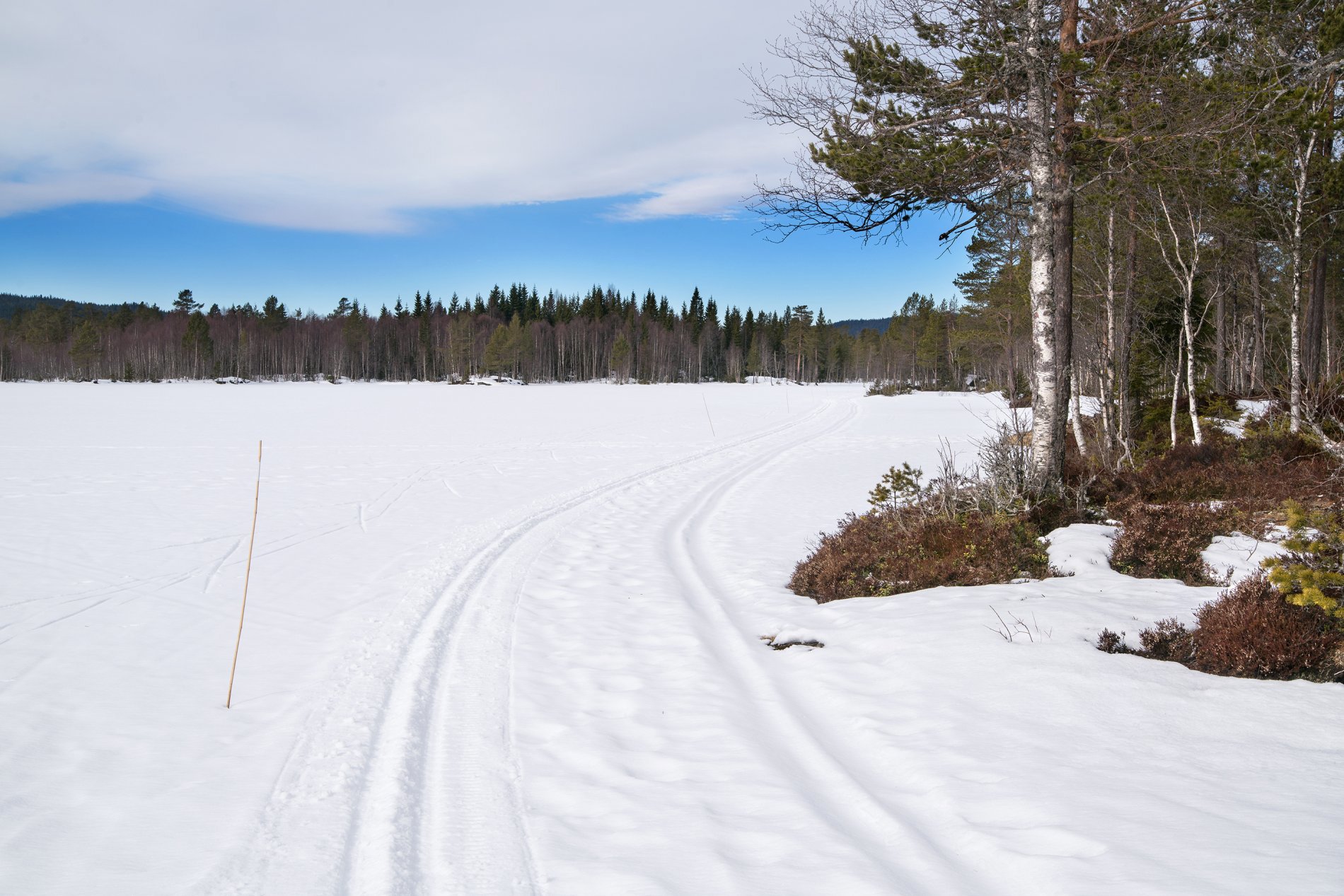 I scooterspor over Vesleflåtan