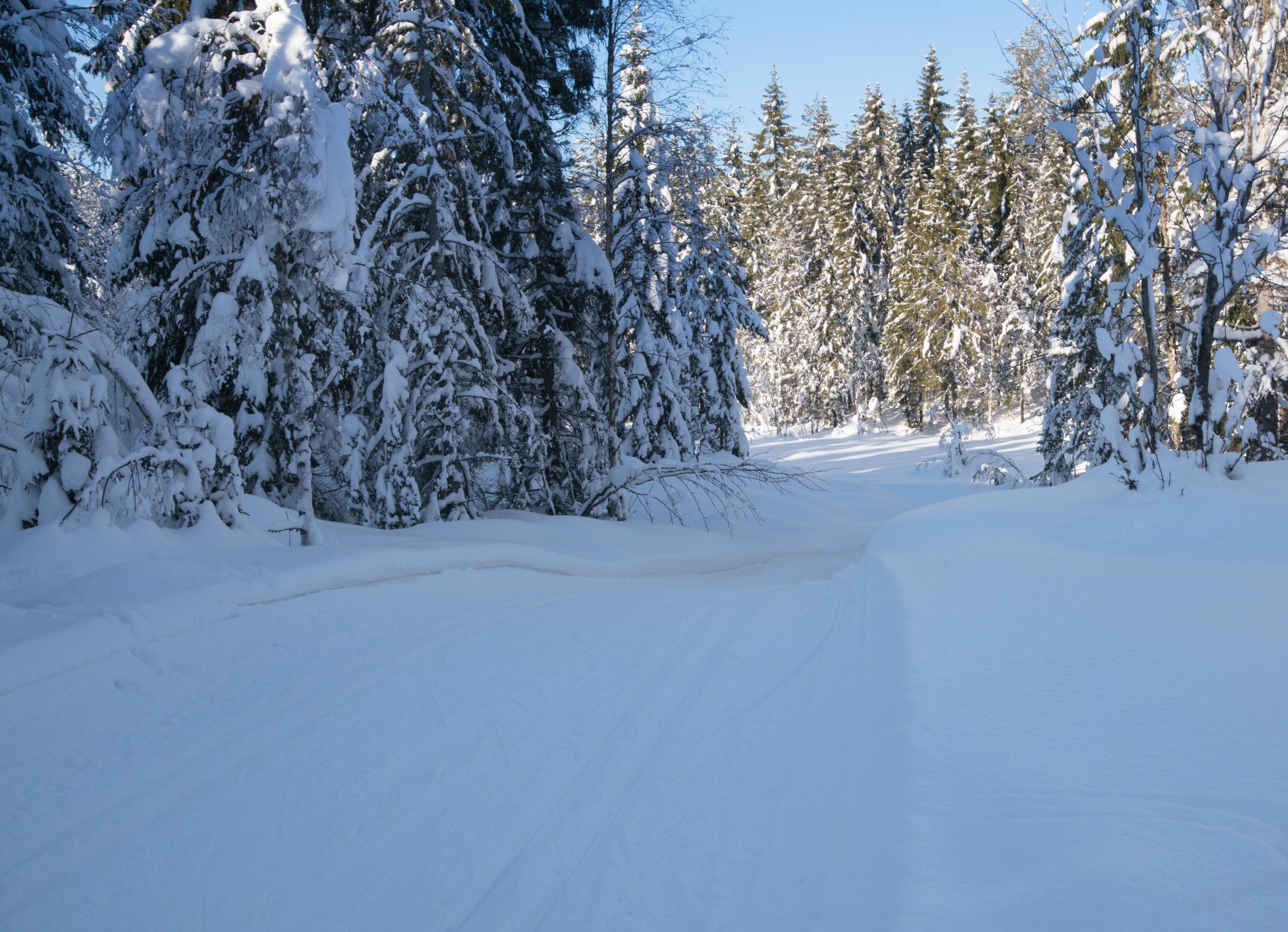 I skyggen på solfull dag