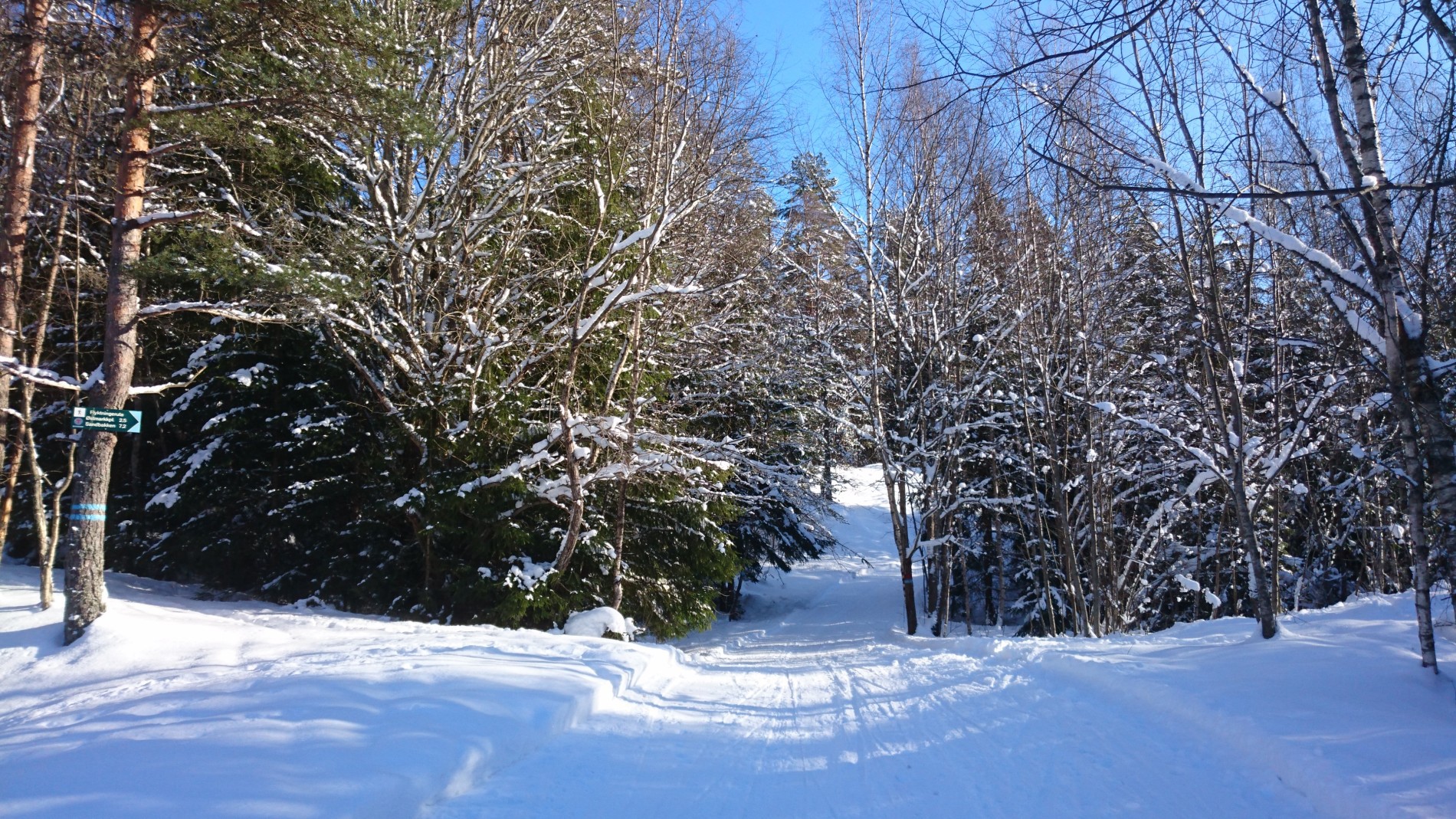 I smale skispor langs Flyktingeruta