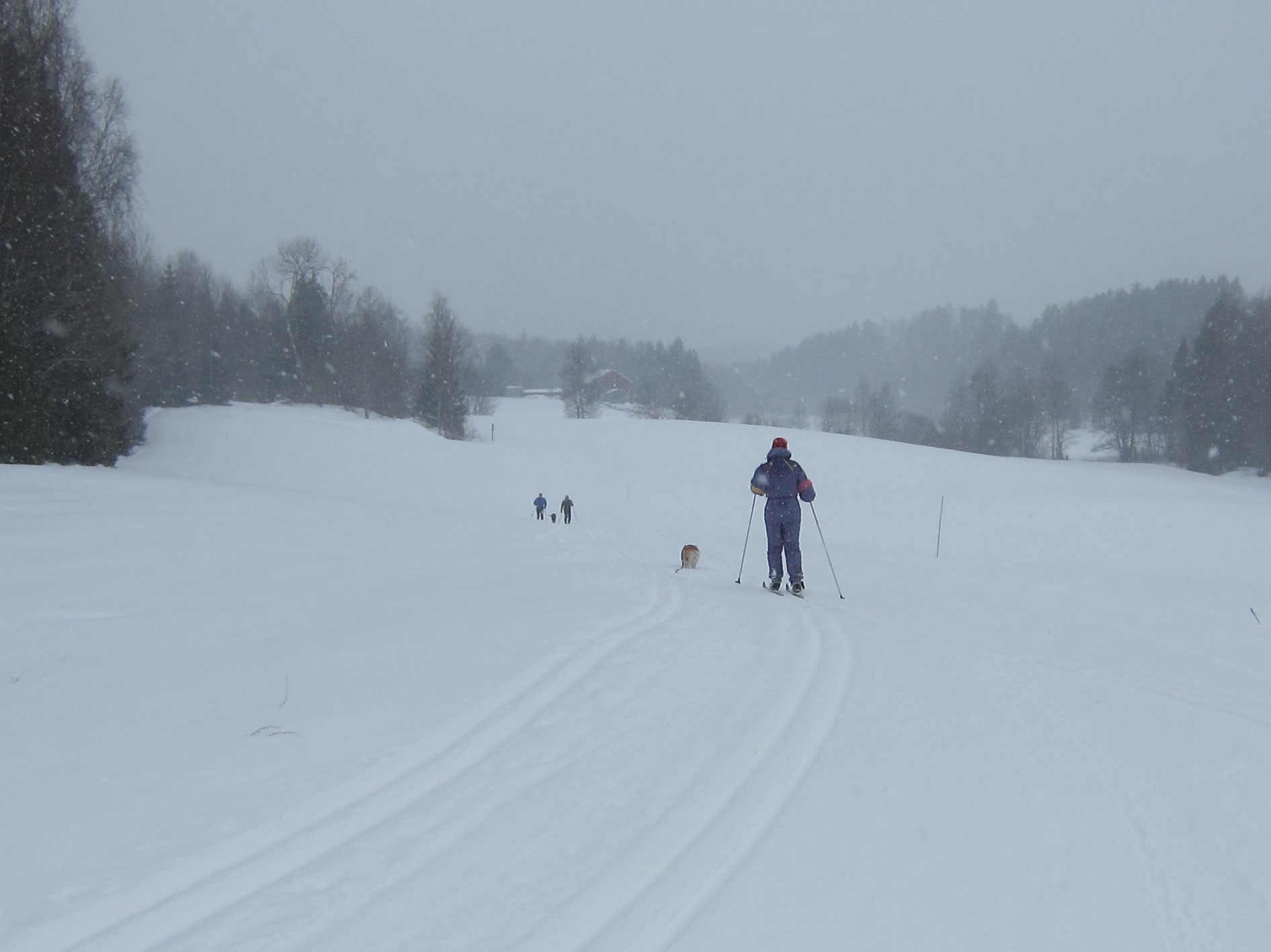 I snødrevet ved Stubberud