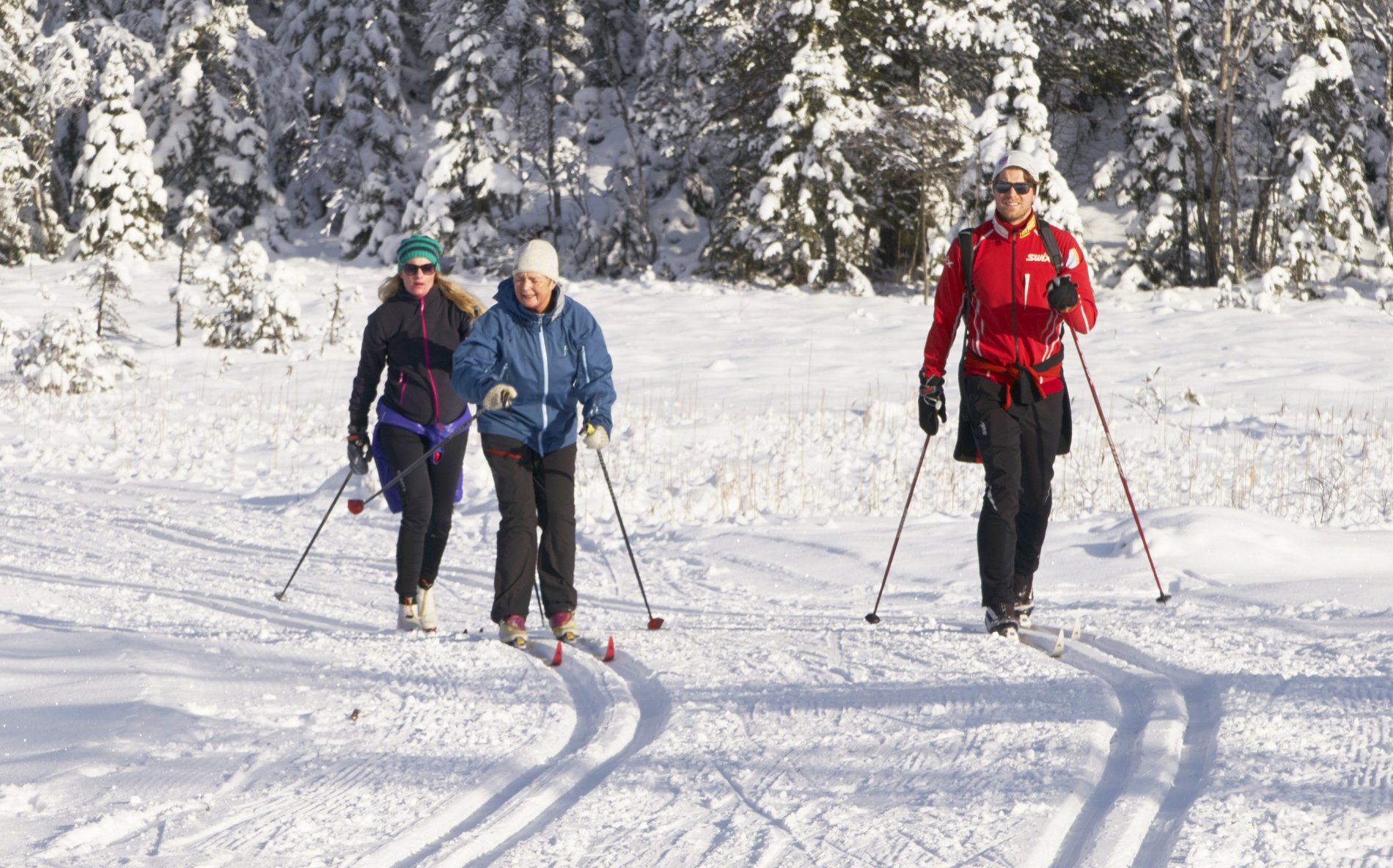 I solskinn over Sætermyra