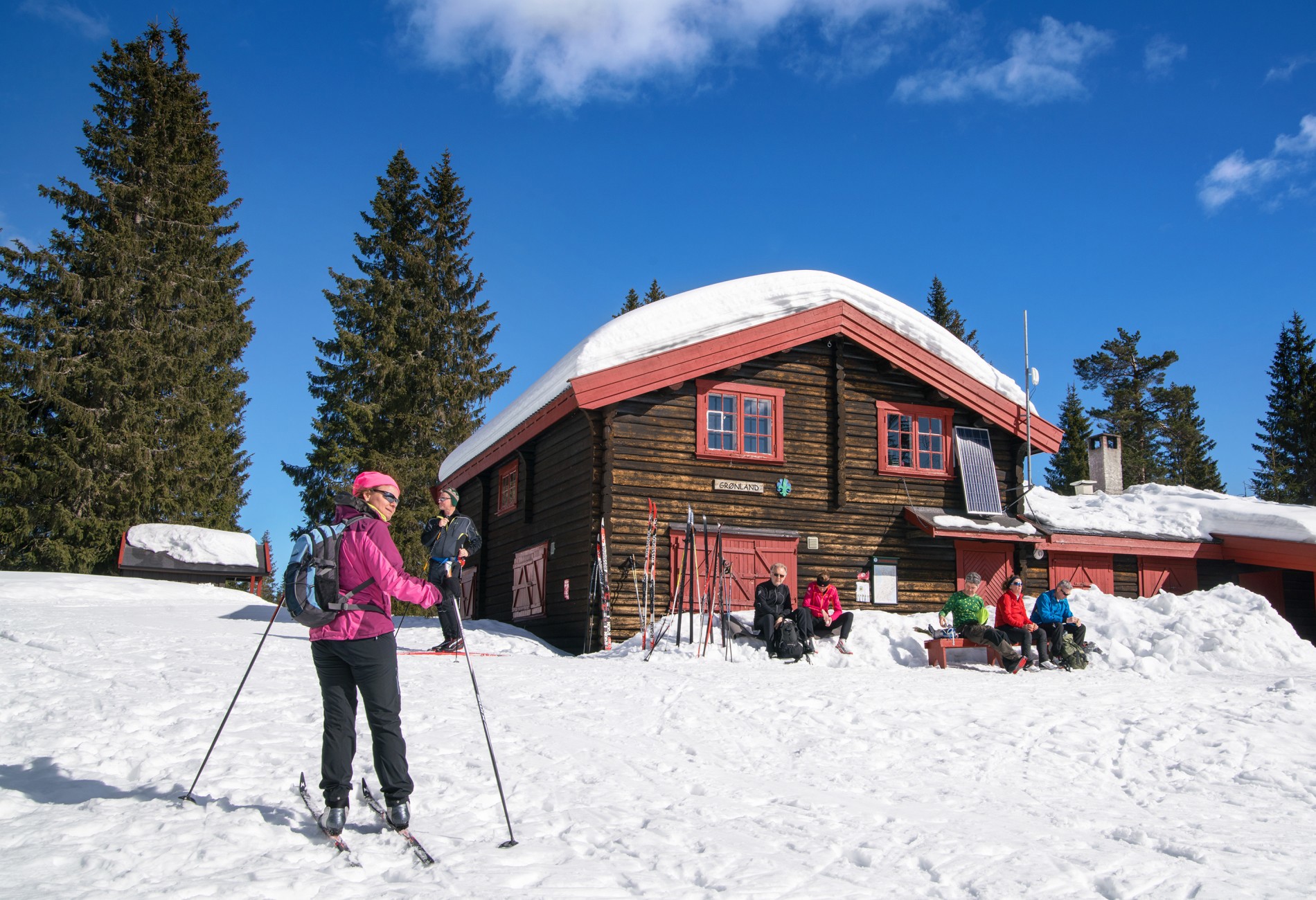 I strålende sol på Grønland