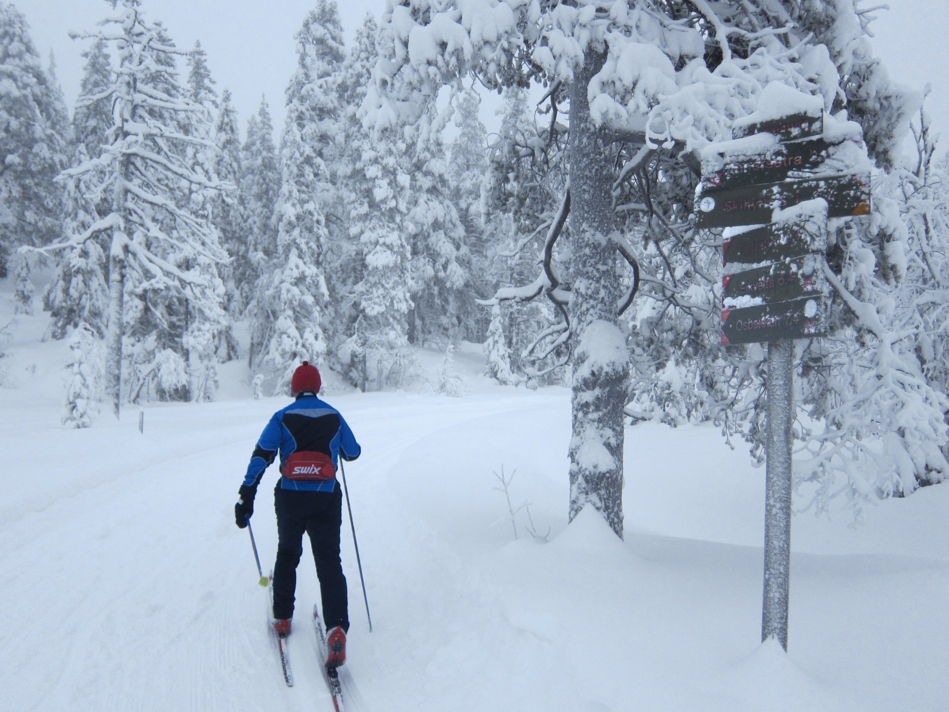 I svingen ved Kjøyvemyra