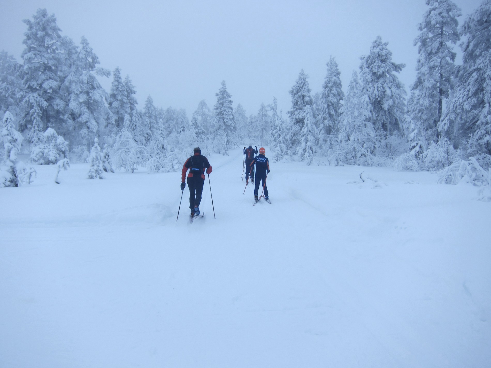 I tåke på Fjortentjernsmyrene