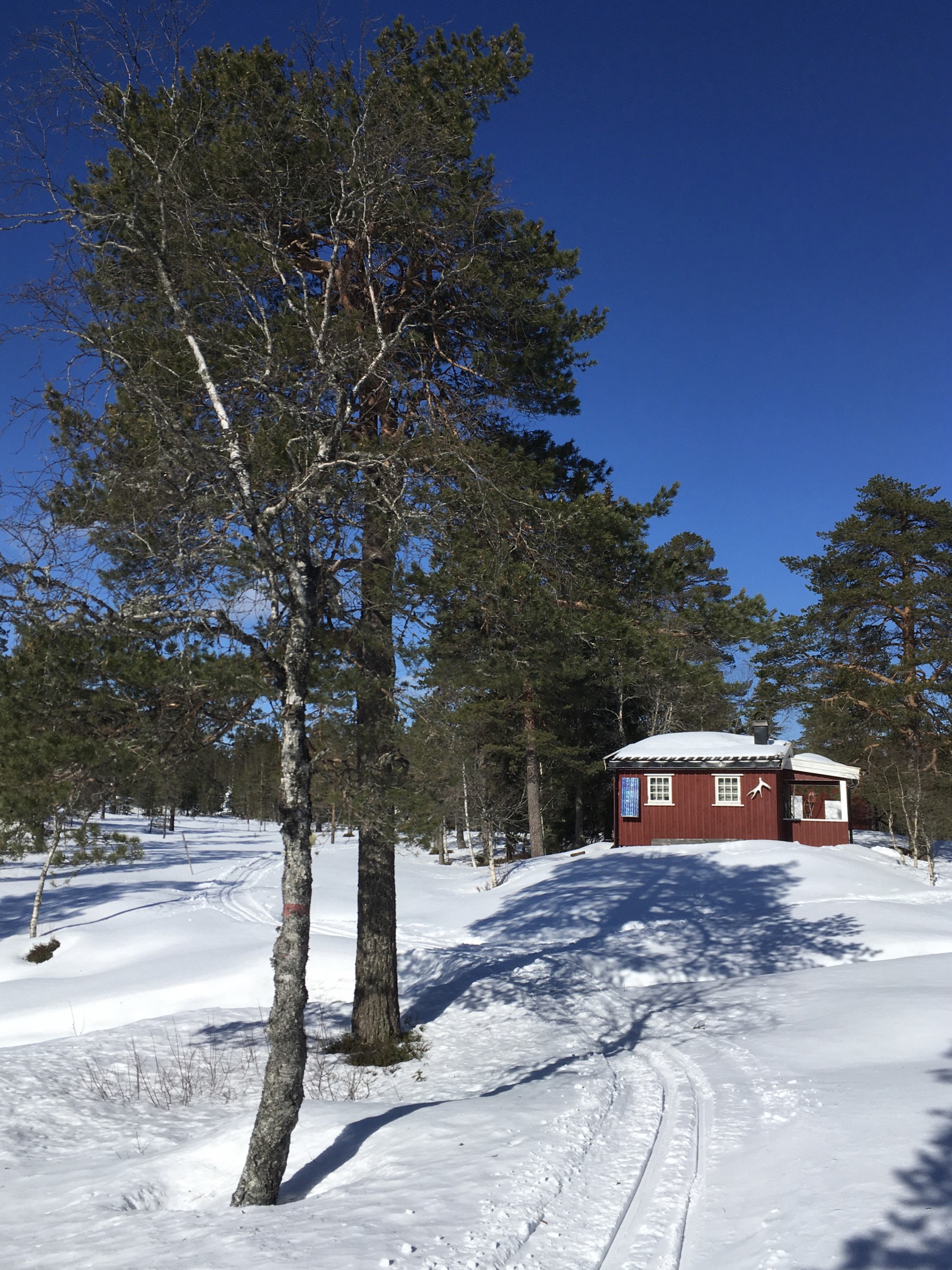 Idyll ved Langtjernbekken
