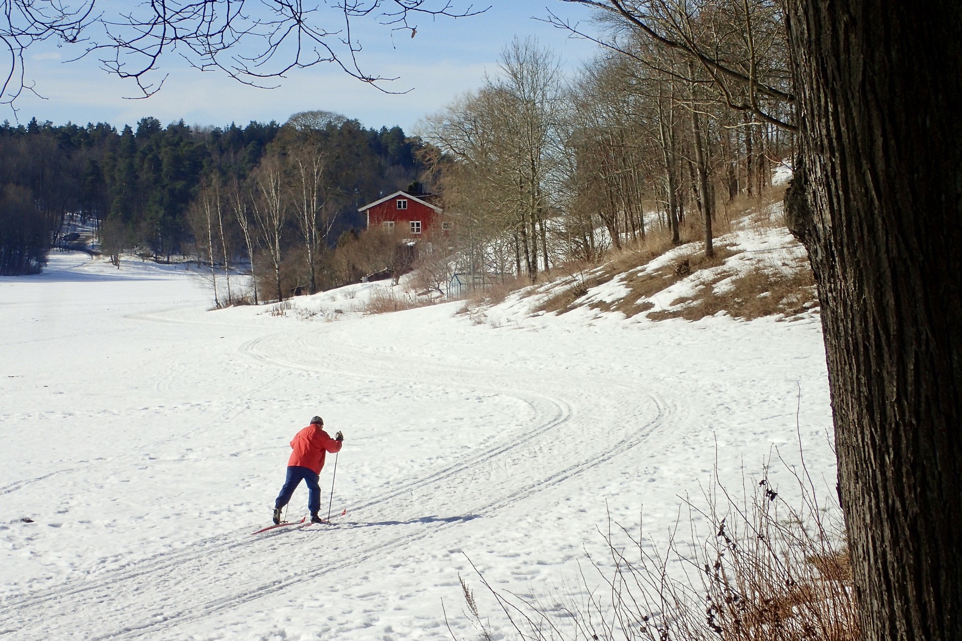 Ikke førefall på Bygdøy ennå