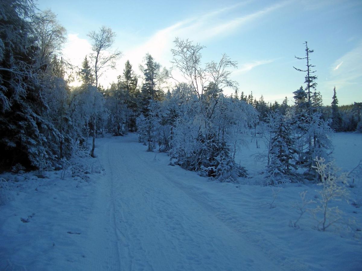 Ikke mye som mangler på skiføre
