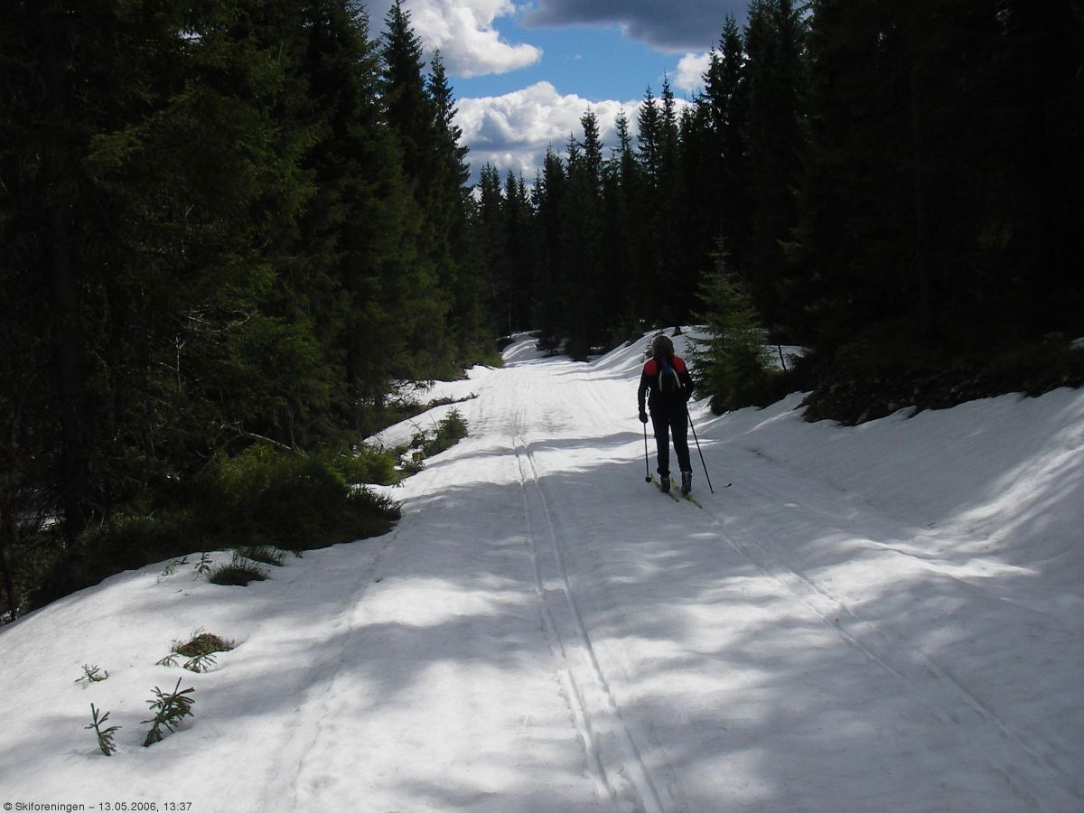 Ikke overfylt i Kalvedalen i dag
