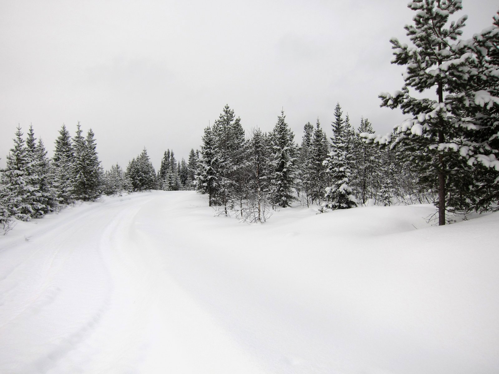 Ikke skispor her i dag