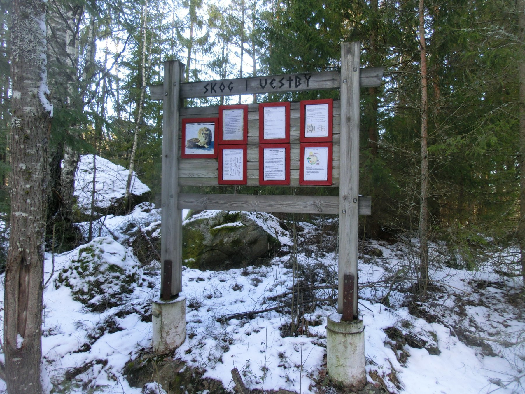 Informasjon om skogen i Vestby