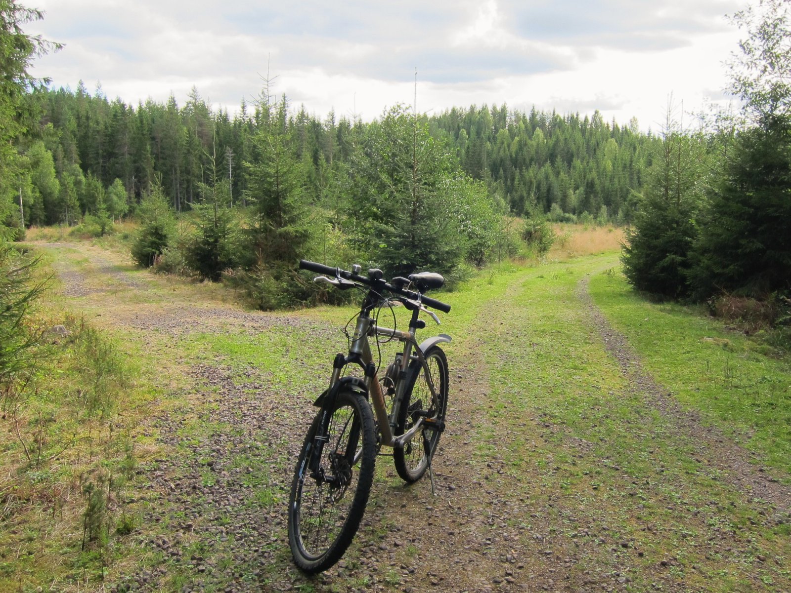 Ingen asfalt på Djupdalsvangen