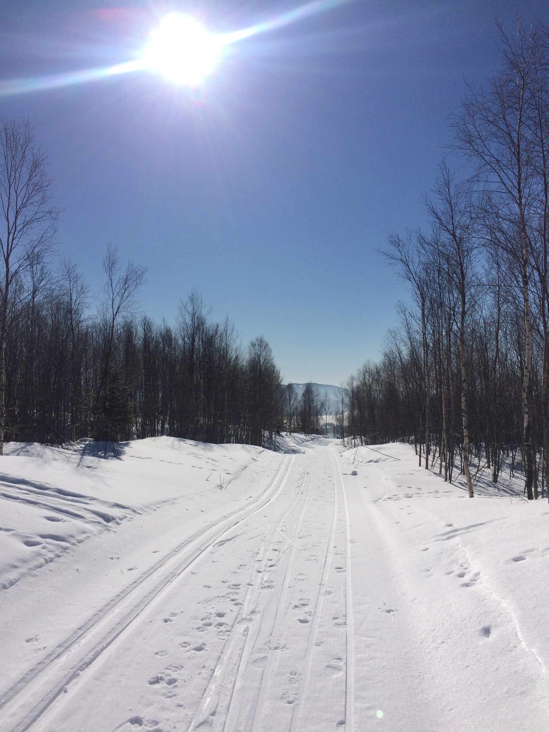 Ingen grunn til å dra til fjells