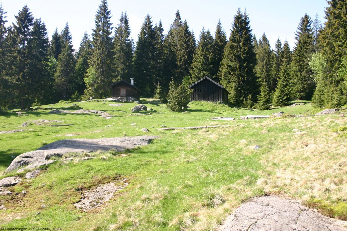 Ingen krøtter på Stovivollen