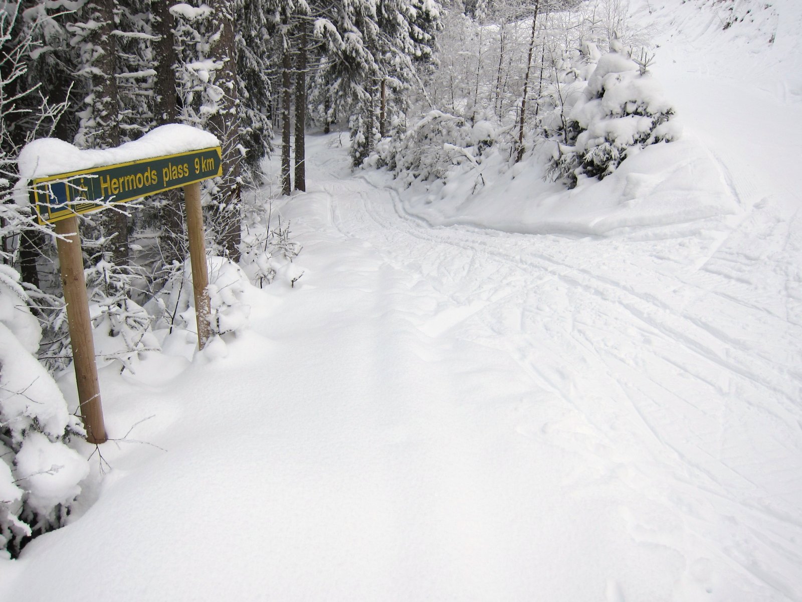 Inn i løypa fra alpinbakken