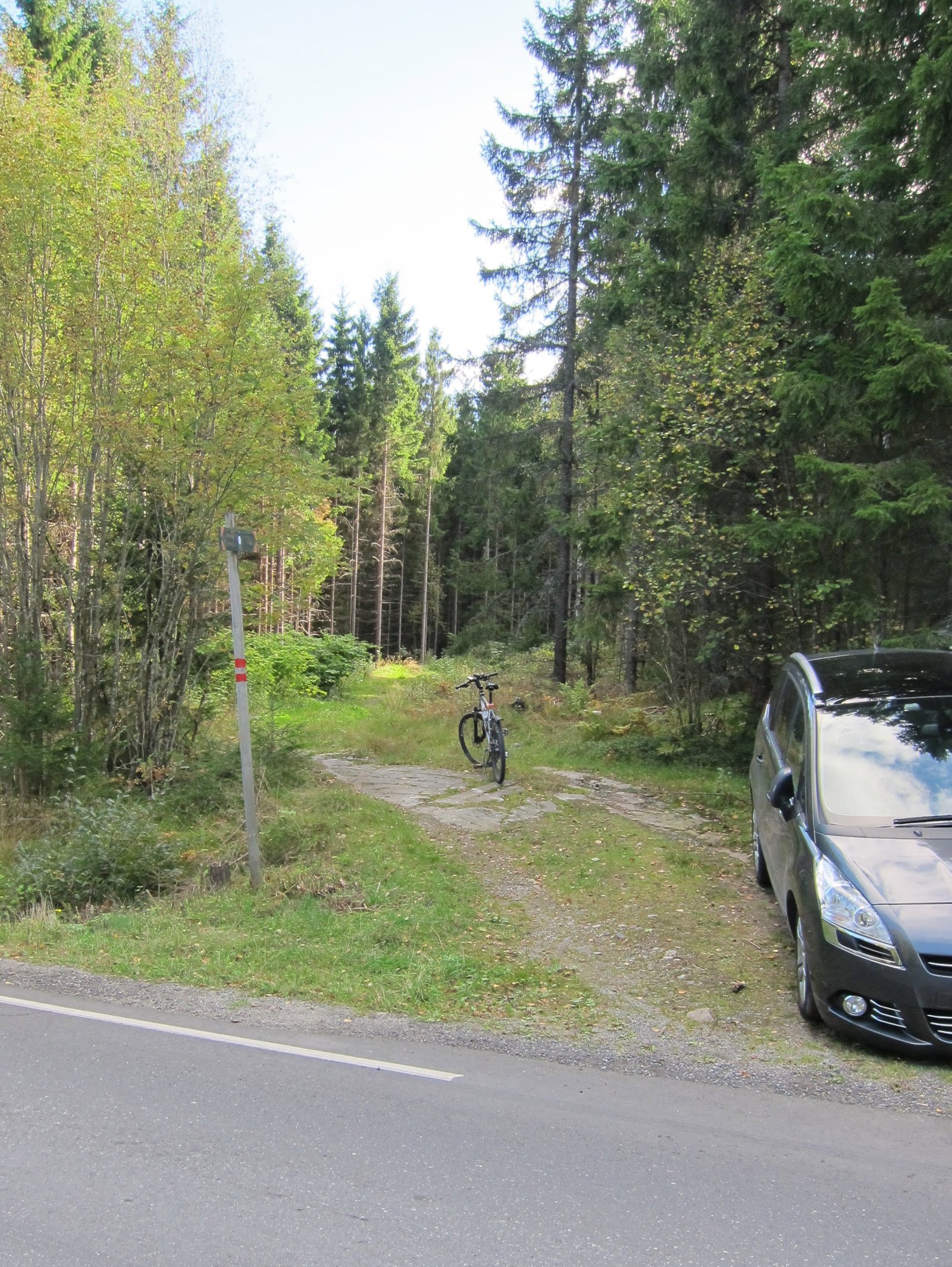 Inn i skogen mot Skotbu
