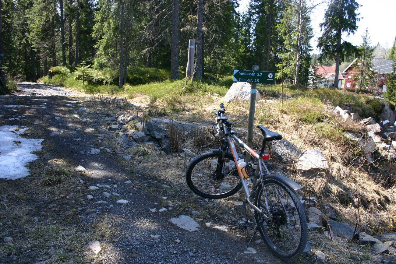 Inn i skogen ved Brattholt
