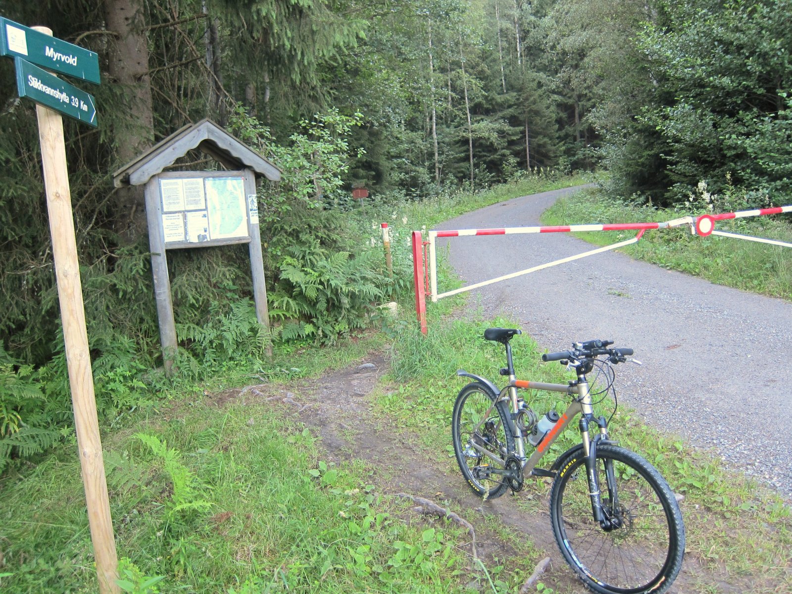 Inn i skogen ved Myrvold