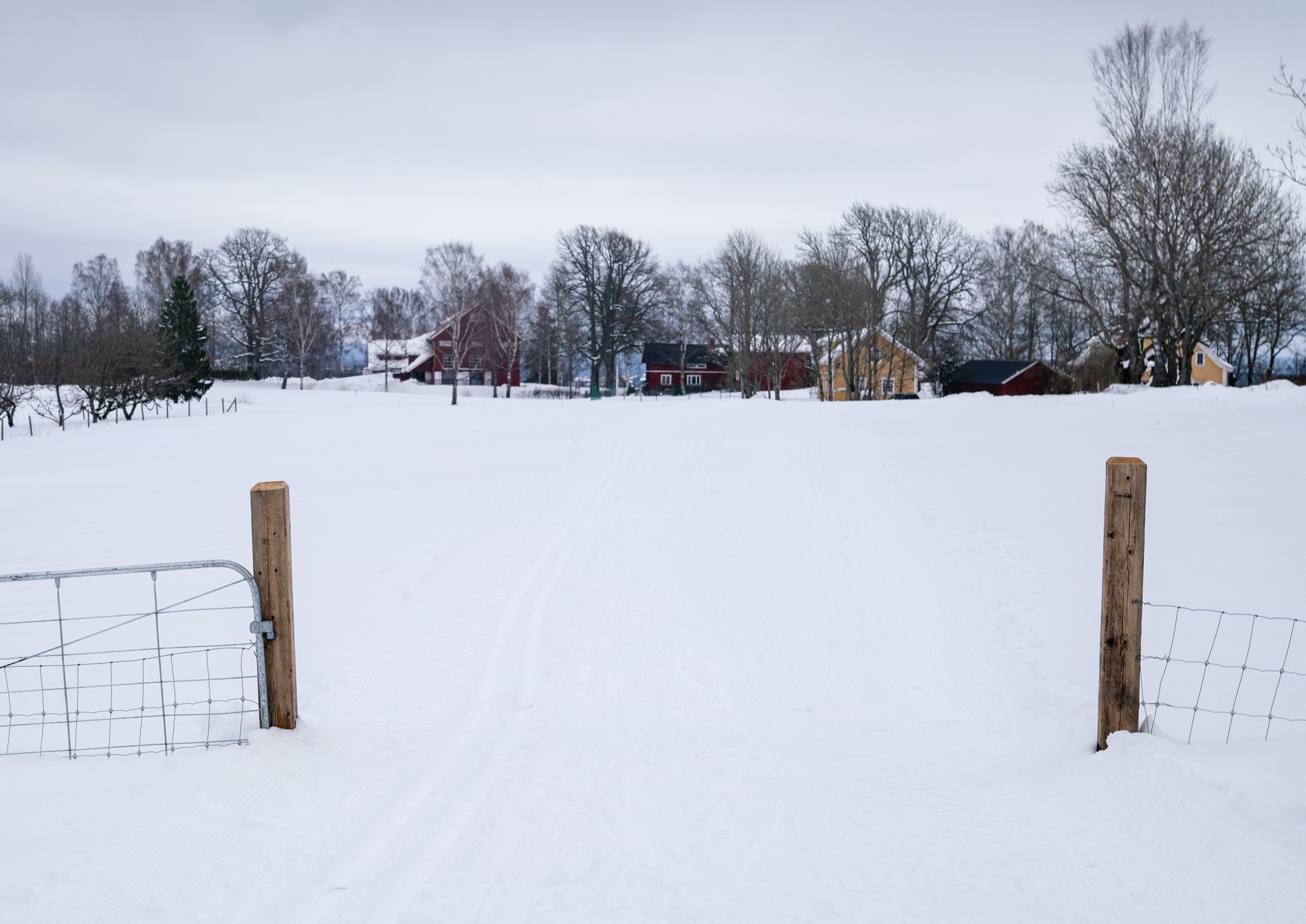Inn til gjestegården
