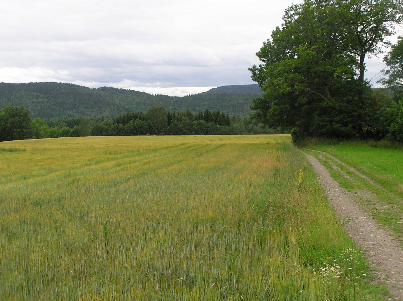 Inngangen til Vestmarka